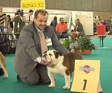 CH Captain Hudson With Mystyle crufts
